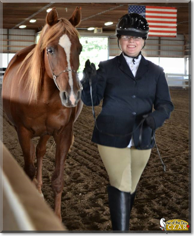 Czar the Arabian Horse, the Pet of the Day