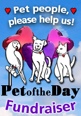 Pet People Please Help Us