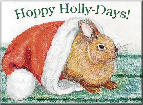 Merry Christmas from Karen & Paul & Miss Hoppy