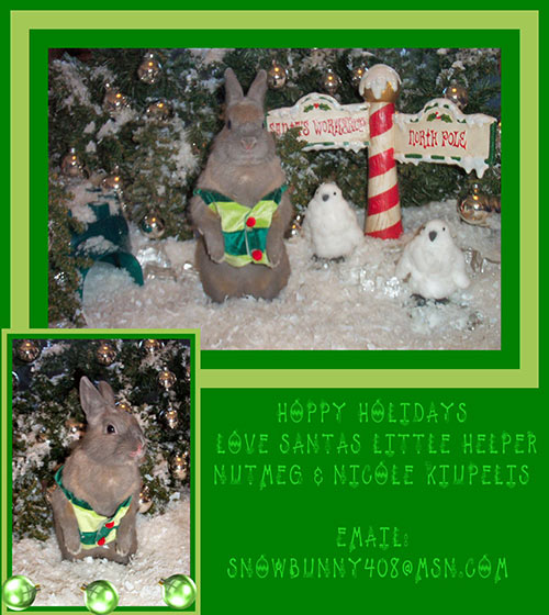 Merry Christmas from Nutmeg & Nicole