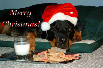 Merry Christmas from Jack