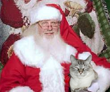 Merry Christmas from Otto