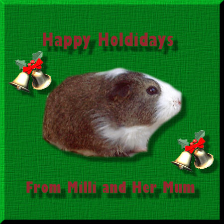 Merry Christmas from Milli