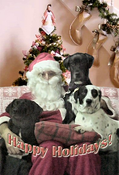 Merry Christmas from Sadie, Cincy & Spot