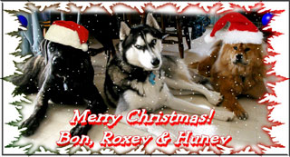 Merry Christmas from Bon, Roxey & Huney