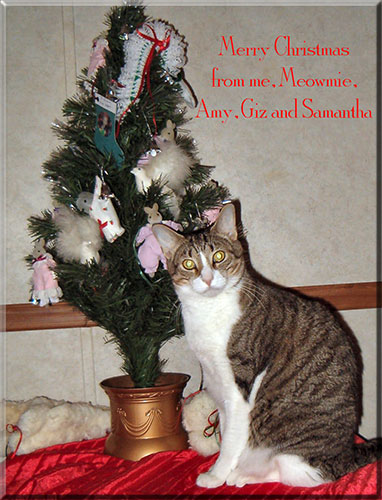 Merry Christmas from Laura & Babies
