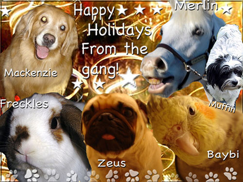 Merry Christmas from Mackenzie, Muffin, Zeus, Merlin, Baybi, & Freckles