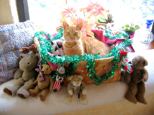 Merry Christmas from Flip & Simba