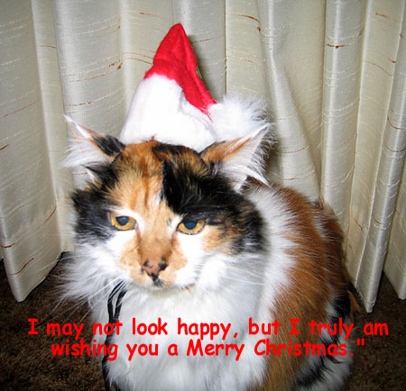 Merry Christmas from Freckles & Joan