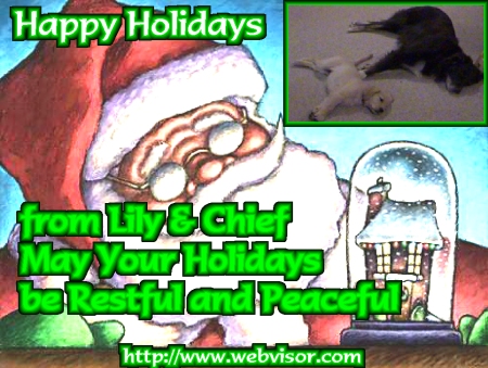 Merry Christmas from Lily & Chief