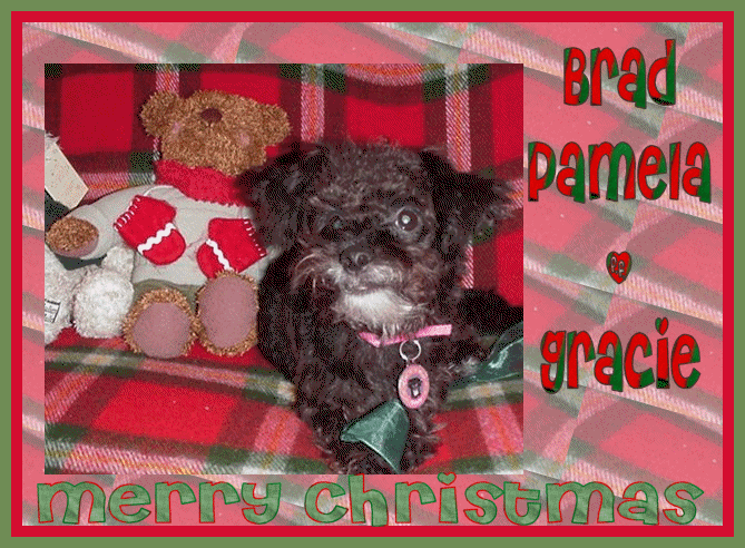 Merry Christmas from Brad, Pamela, & Gracie