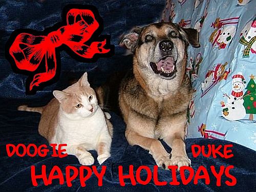 Merry Christmas from Doogie & Duke