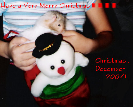 Merry Christmas from Fluffy & Monika