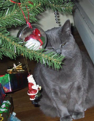 Merry Christmas from Pearlie