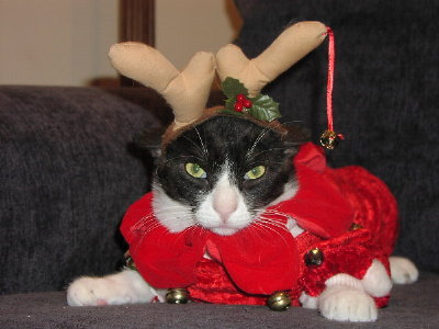 Merry Christmas from Homer