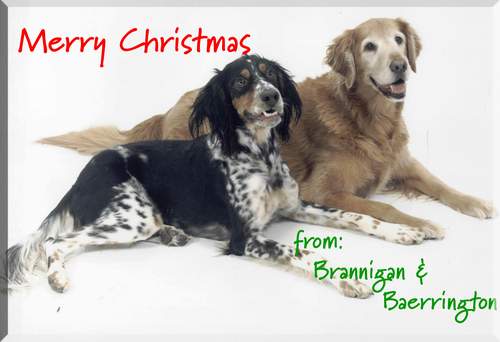 Merry Christmas from Cari, Brannigan, & Baerrington