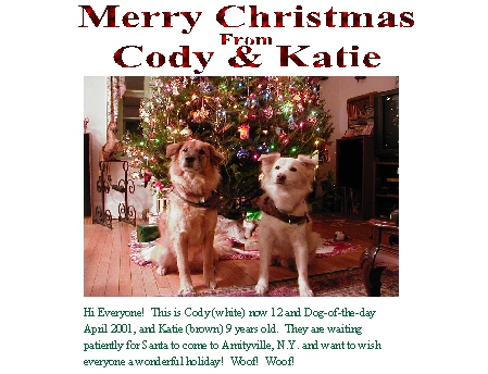 Merry Christmas from Codey & Katie