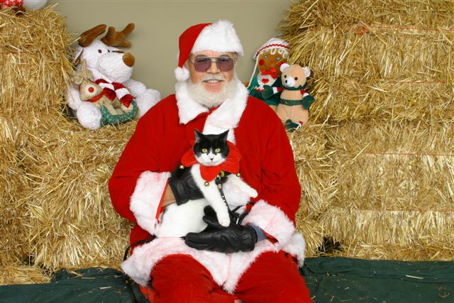 Merry Christmas from June