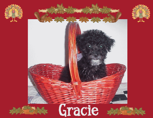 Gracie