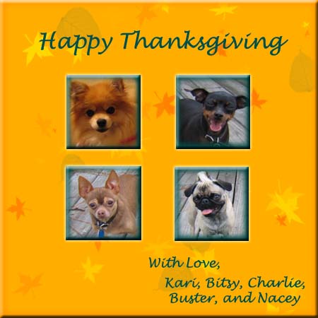 Kari, Bitsy, Charlie, Buster, Nacey