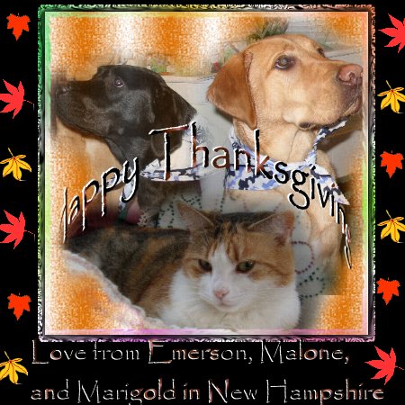 Emerson, Malone, and Marigold