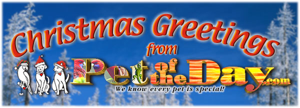 Greetings from Pet of the Day.com