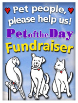 Pet people please help us.