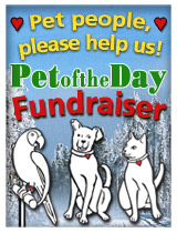 Fundraiser