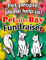 Fundraiser
