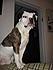 Click image for larger version. 

Name:	207.JPG 
Views:	110 
Size:	1.35 MB 
ID:	39182