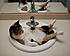Click image for larger version. 

Name:	04190502-millie-small.jpg 
Views:	116 
Size:	44.1 KB 
ID:	40133