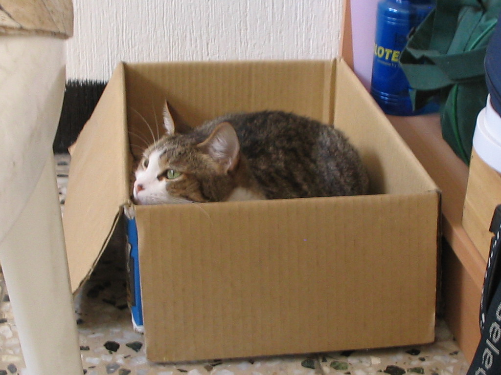 Name:  IMG_2404.jpg
Views: 256
Size:  193.8 KB