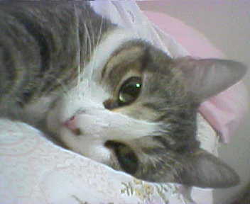 Name:  Picture50W.jpg
Views: 162
Size:  9.7 KB