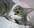 Click image for larger version. 

Name:	Picture50W.jpg 
Views:	123 
Size:	9.7 KB 
ID:	40413