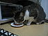 Click image for larger version. 

Name:	IMG_0859.JPG 
Views:	69 
Size:	409.8 KB 
ID:	41178