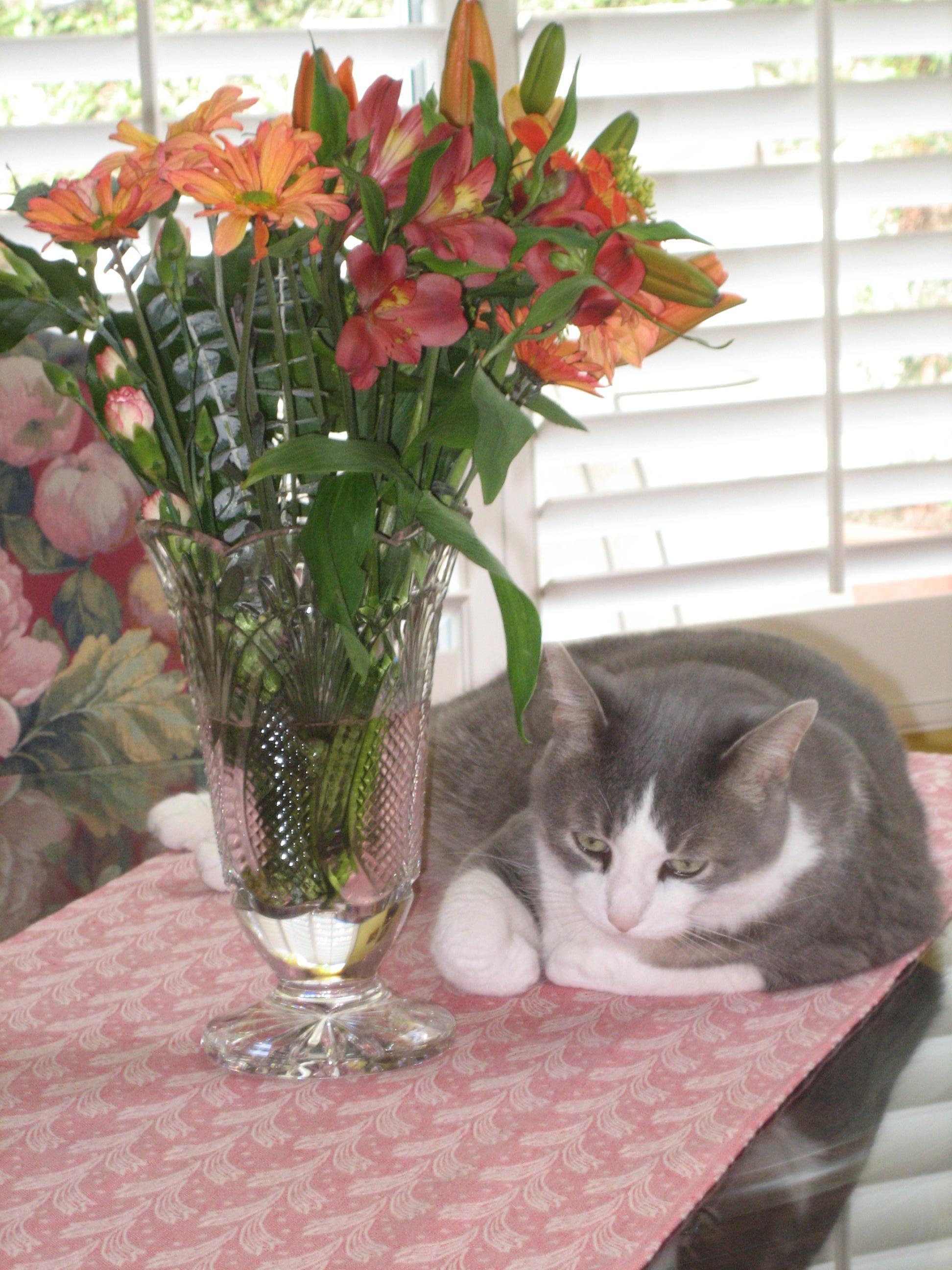 Name:  IMG_3529.JPG
Views: 147
Size:  503.1 KB