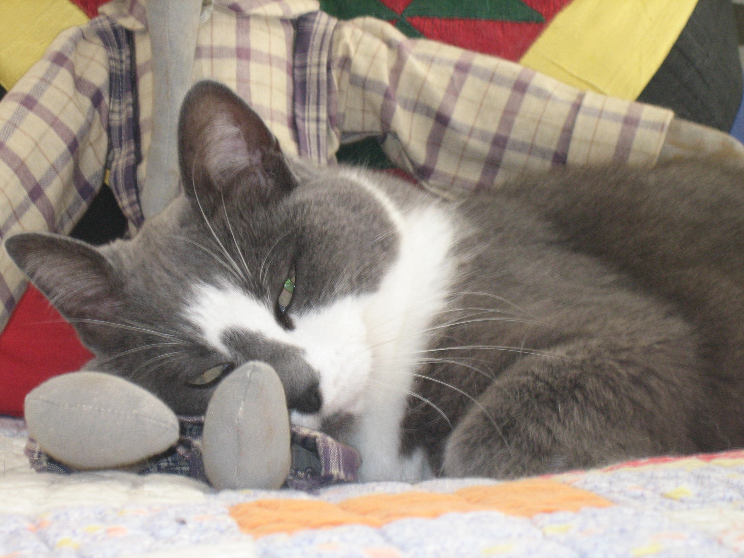 Name:  IMG_3211.JPG
Views: 65
Size:  515.2 KB