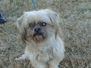 Name:  max.jpg
Views: 523
Size:  33.0 KB