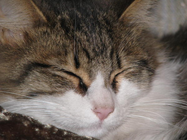 closeup sleepy face