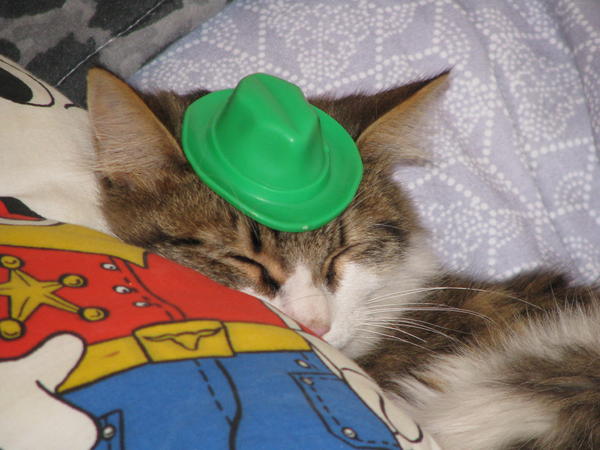 sleeping beauty didnt noticed...