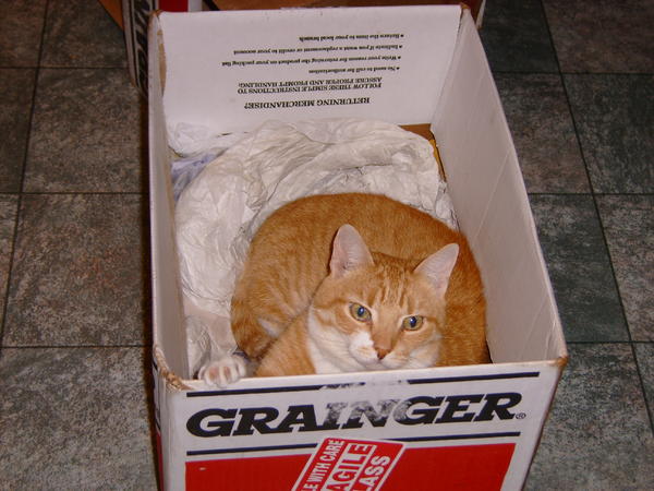 Ralph Syracuse(RB) in the GRAINGER BOX