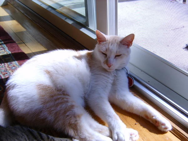 Nicholas(RB)