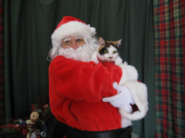 Nimet and Santa
