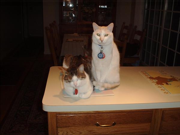 Riley and his best buddy Nicholas(RB)