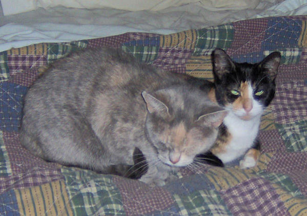 SWEETY AND BOOTS
MOTHER & DAUGHTER