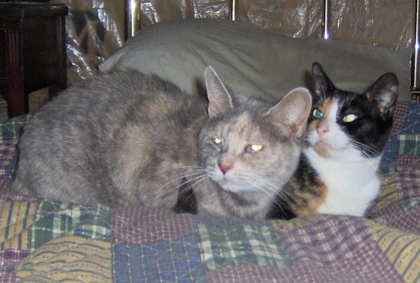 SWEETY & BOOTS