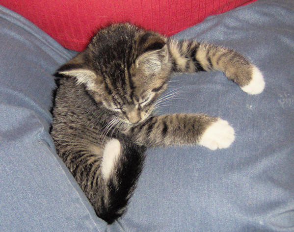 ROSCOE (ROZ) MOMS LAP
 Momies girl