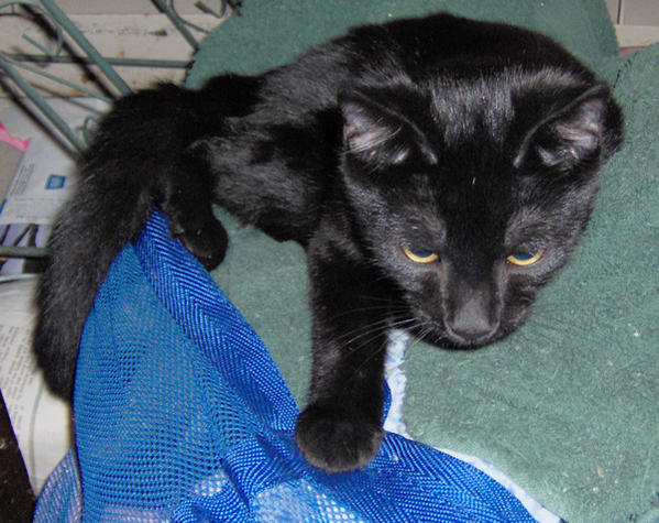 LUCKY08/08 watching TV