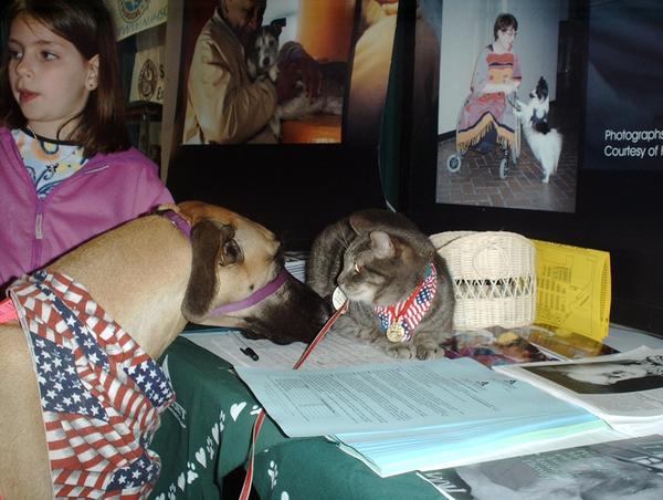 Spunky(RB) meets BIG dog