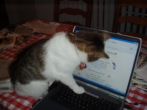 Riley, computer techie